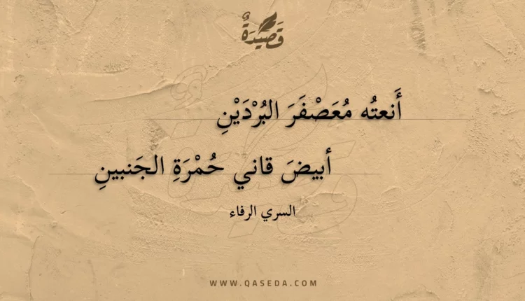 قصيدة أنعته معصفر البردين