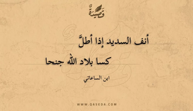 قصيدة أنف السديد إذا أطل