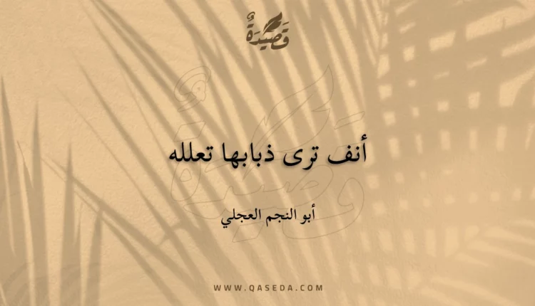 قصيدة أنف ترى ذبابها تعلله