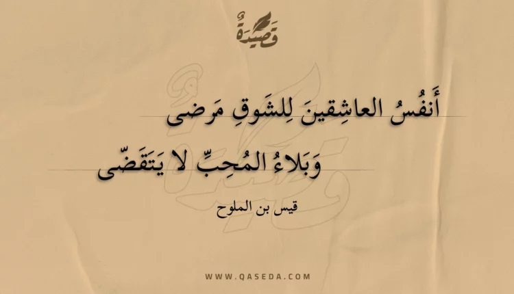 قصيدة أنفس العاشقين للشوق مرضى