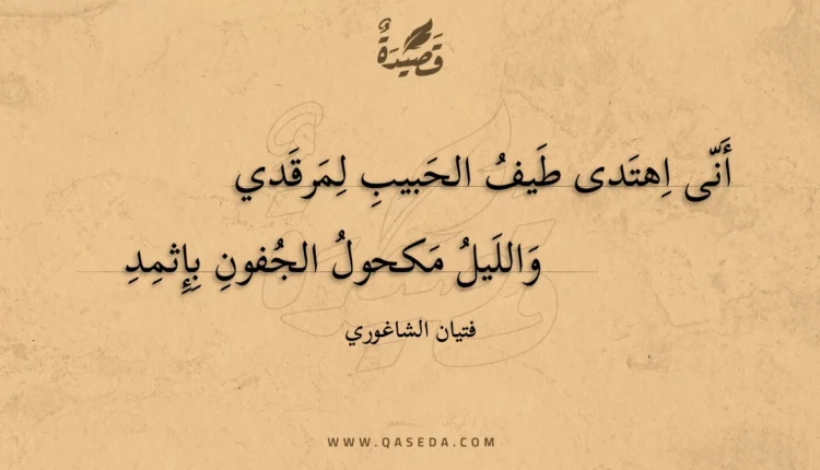 قصيدة أنى اهتدى طيف الحبيب لمرقدي