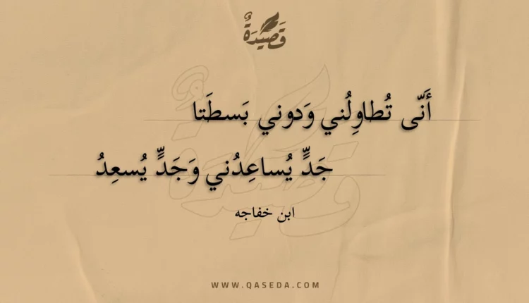 قصيدة أنى تطاولني ودوني بسطتا