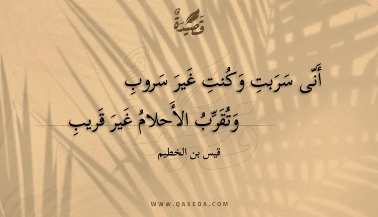 قصيدة أنى سربت وكنت غير سروب
