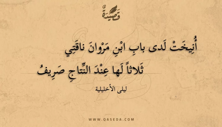 قصيدة أنيخت لدى باب ابن مروان ناقتي