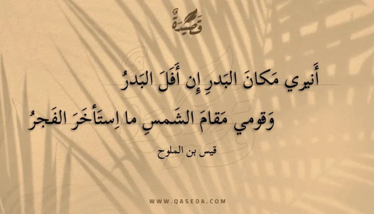 قصيدة أنيري مكان البدر إن أفل البدر