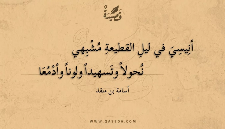 قصيدة أنيسي في ليل القطيعة مشبهي