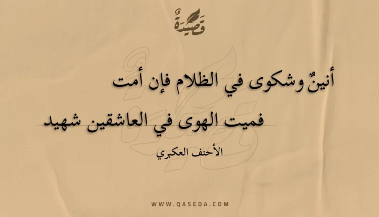 قصيدة أنين وشكوى في الظلام فإن أمت