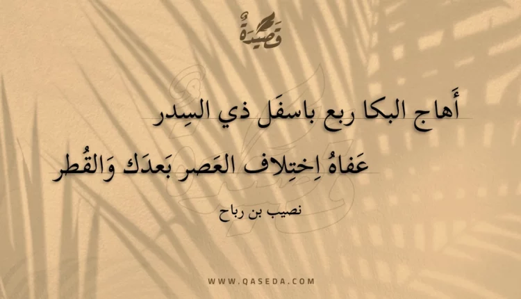 قصيدة أهاج البكا ربع باسفل ذي السدر
