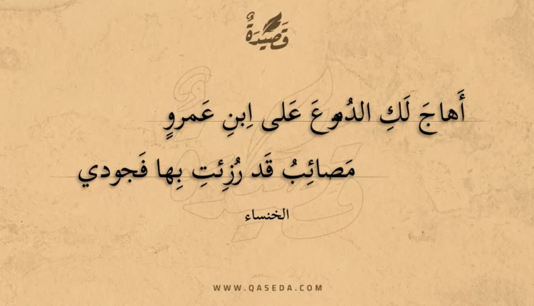 قصيدة أهاج لك الدموع على ابن عمرو