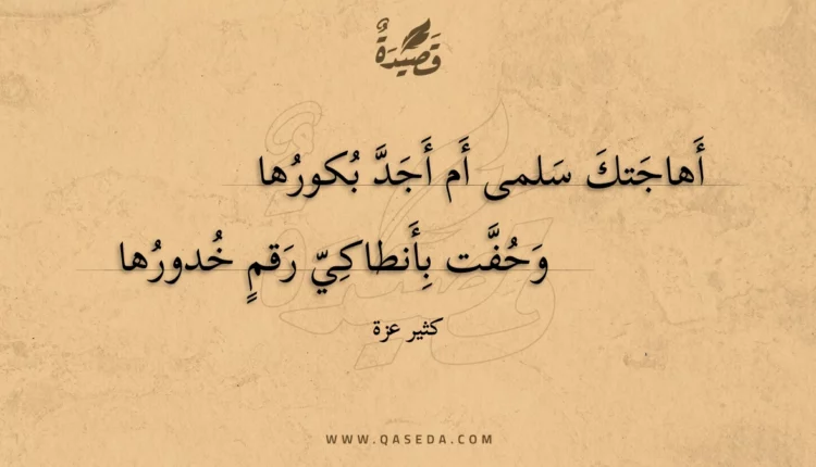 قصيدة أهاجتك سلمى أم أجد بكورها