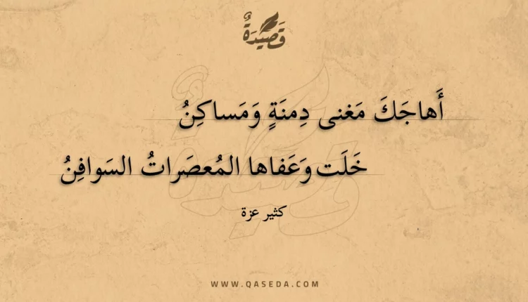 قصيدة أهاجك مغنى دمنة ومساكن