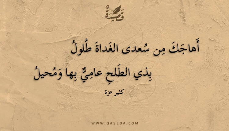 قصيدة أهاجك من سعدى الغداة طلول