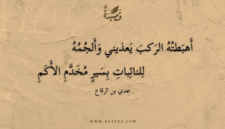 قصيدة أهبطته الركب يعذيني وألجمه