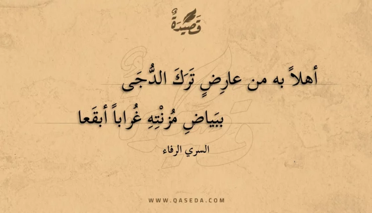قصيدة أهلا به من عارض ترك الدجى