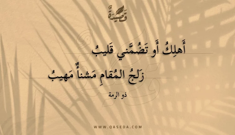 قصيدة أهلك أو تضمني قليب