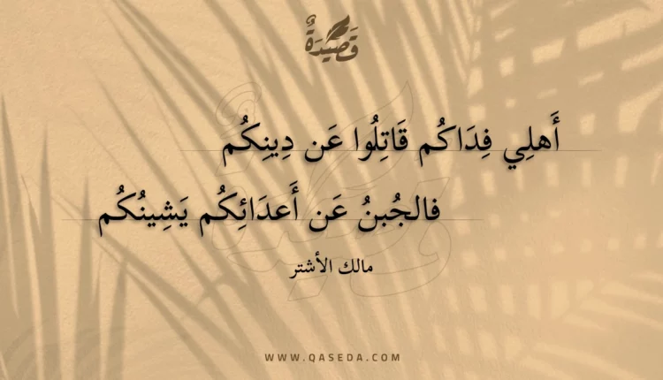 قصيدة أهلي فداكم قاتلوا عن دينكم