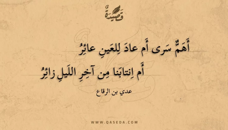 قصيدة أهم سرى أم عاد للعين عائر