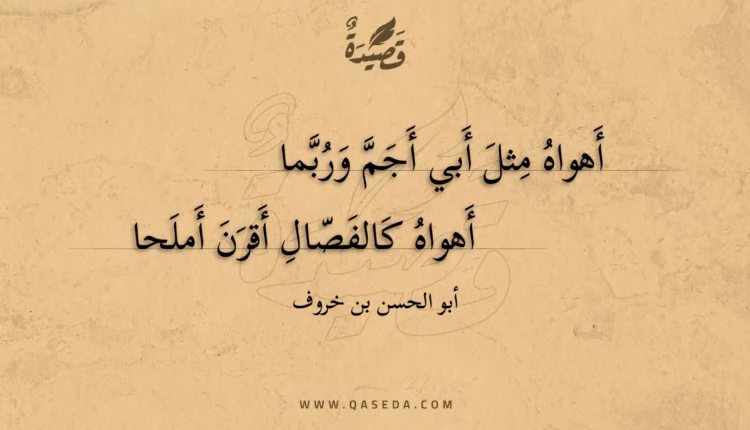 قصيدة أهواه مثل أبي أجم وربما