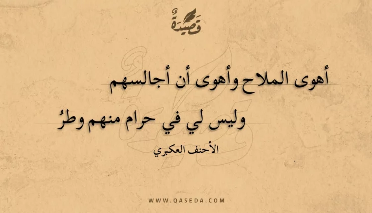 قصيدة أهوى الملاح وأهوى أن أجالسهم