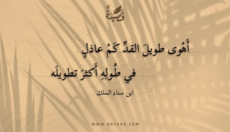 قصيدة أهوى طويل القد كم عاذل