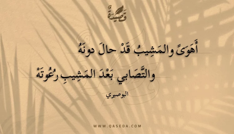 قصيدة أهوى والمشيب قد حال دونه