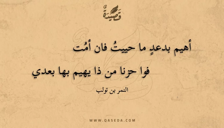 قصيدة أهيم بدعد ما حييت فان أمت