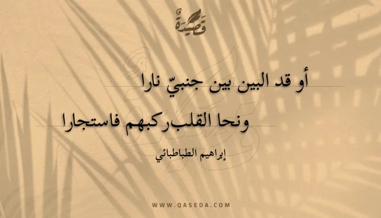 قصيدة أو قد البين بين جنبي نارا