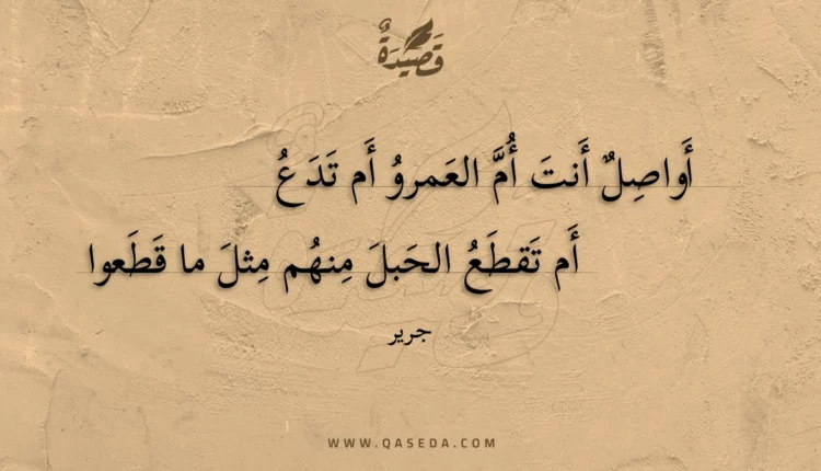 قصيدة أواصل أنت أم العمرو أم تدع