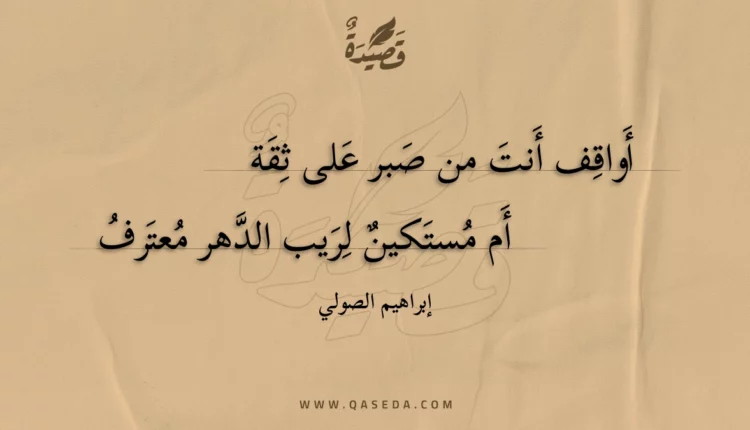قصيدة أواقف أنت من صبر على ثقة