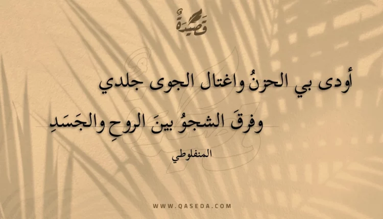 قصيدة أودى بي الحزن واغتال الجوى جلدي