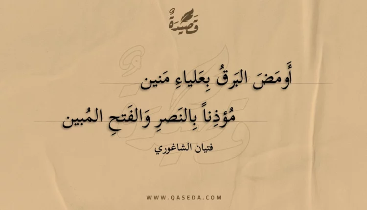 قصيدة أومض البرق بعلياء منين