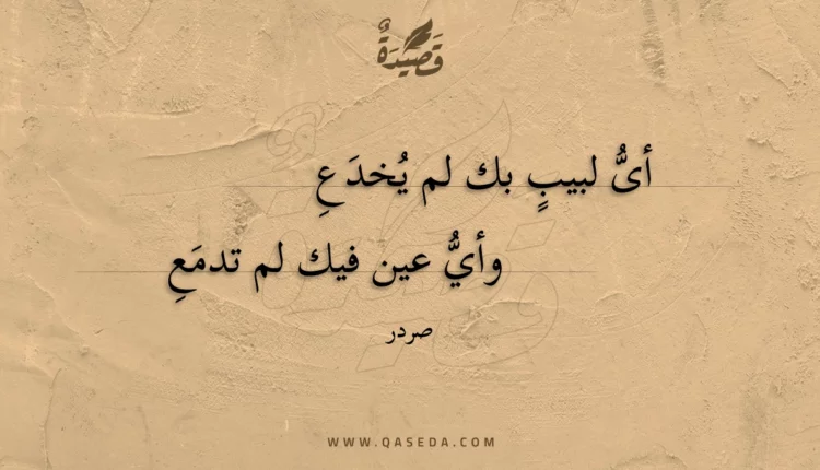 قصيدة أى لبيب بك لم يخدع