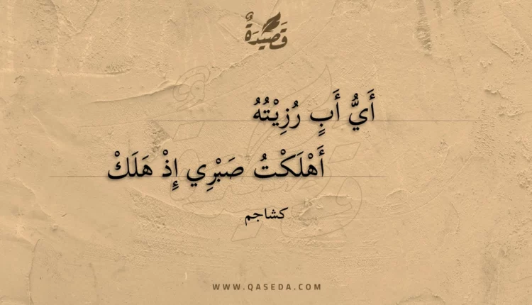 قصيدة أي أب رزيته