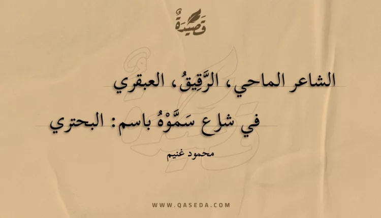 قصيدة أي الشاعرين