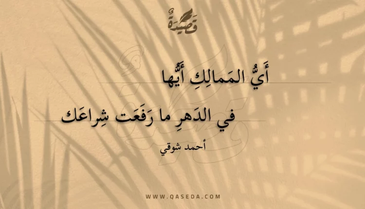 قصيدة أي الممالك أيها