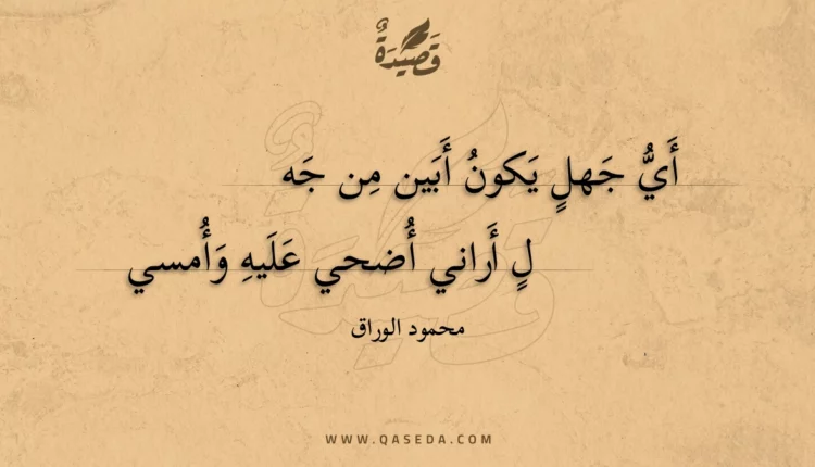 قصيدة أي جهل يكون أبين من جهل