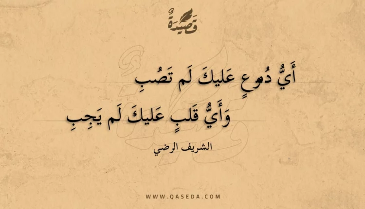 قصيدة أي دموع عليك لم تصب