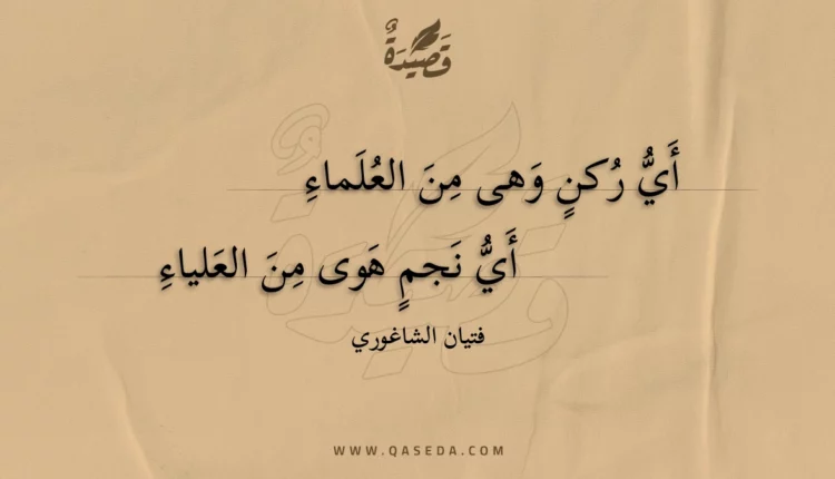 قصيدة أي ركن وهى من العلماء