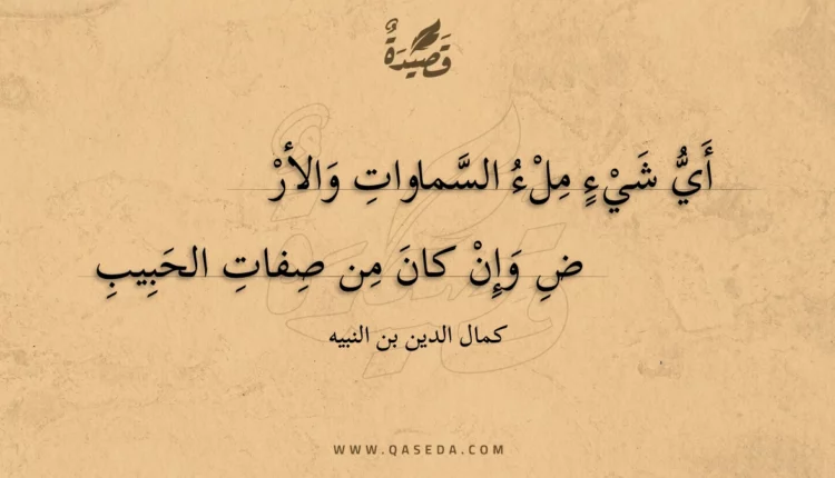 قصيدة أي شيء ملء السماوات والأرض