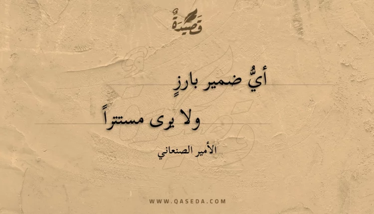 قصيدة أي ضمير بارز