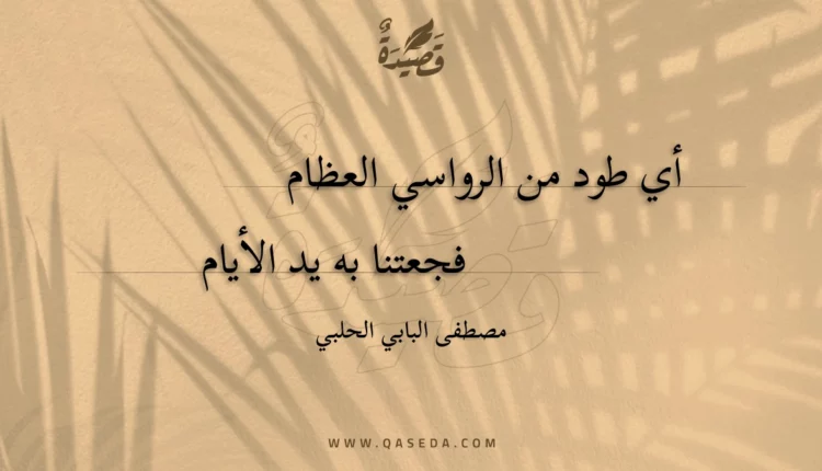 قصيدة أي طود من الرواسي العظام