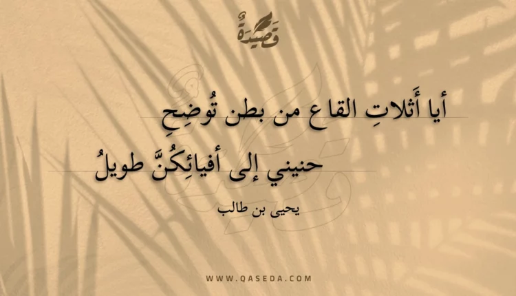 قصيدة أيا أثلات القاع من بطن توضح