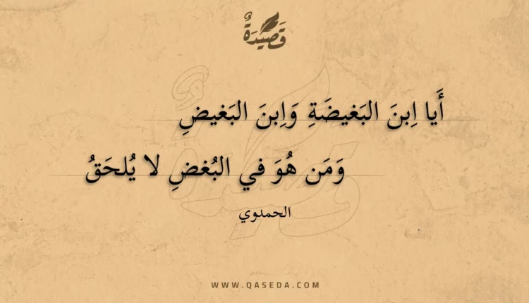 قصيدة أيا ابن البغيضة وابن البغيض