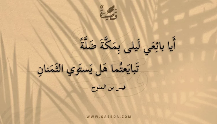قصيدة أيا بائعي ليلى بمكة ضلة