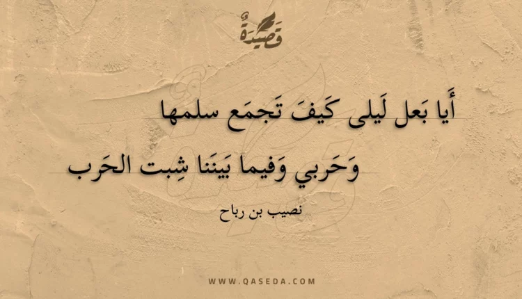 قصيدة أيا بعل ليلى كيف تجمع سلمها