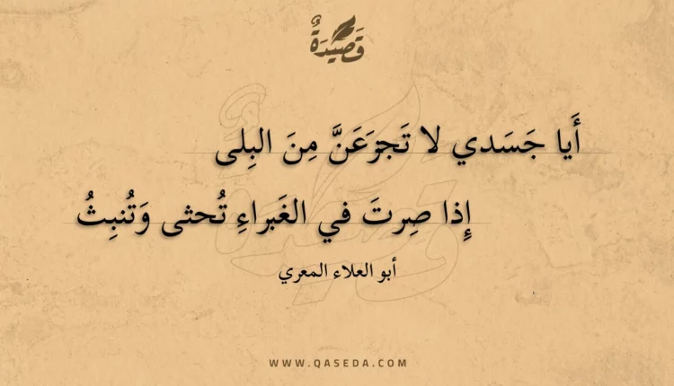 قصيدة أيا جسدي لا تجزعن من البلى