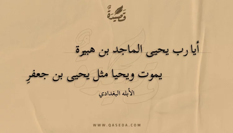 قصيدة أيا رب يحيى الماجد بن هبيرة