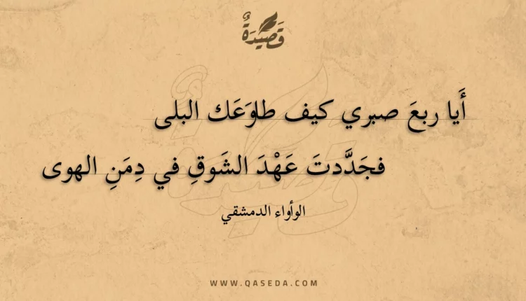 قصيدة أيا ربع صبري كيف طاوعك البلى