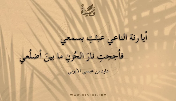 قصيدة أيا رنة الناعي عبثت بسمعي