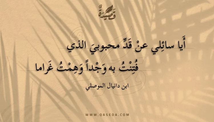 قصيدة أيا سائلي عن قد محبوبي الذي